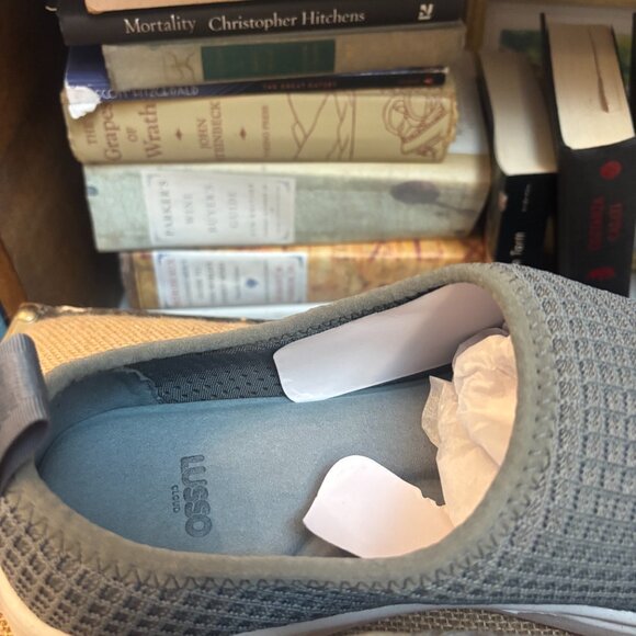 Lusso Cloud Gehry shoes 11
